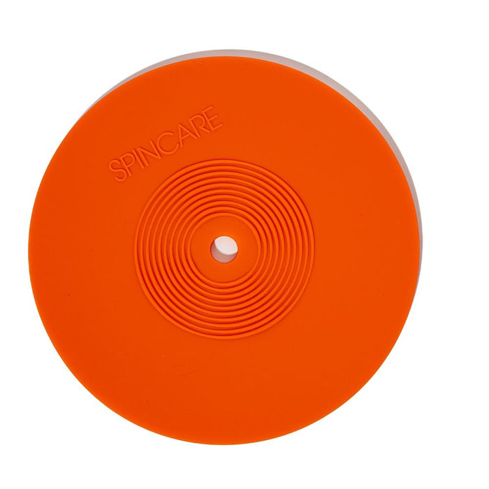 Vinyl Record Label Protector